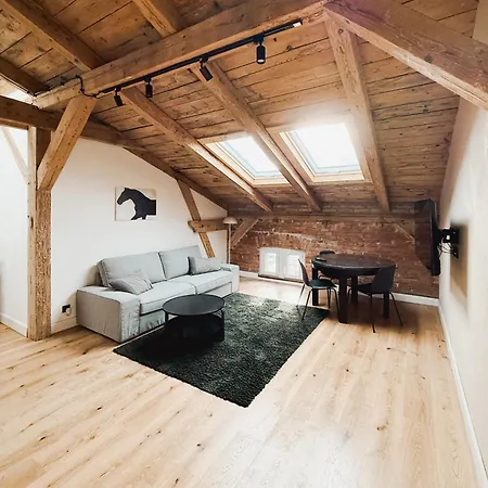 Apartment Artystyczne Loft 52 Bydgoszcz